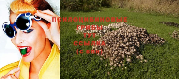 спайс Баксан