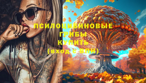 прущая мука Белокуриха